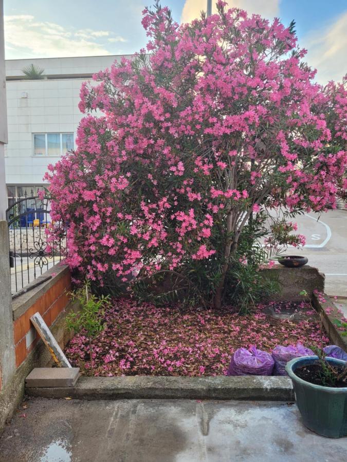 Harizma Διαμέρισμα Primošten Εξωτερικό φωτογραφία